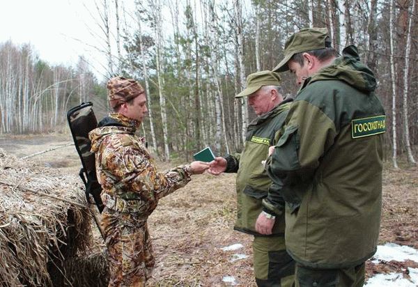 Правила охоты на взлетающую птицу