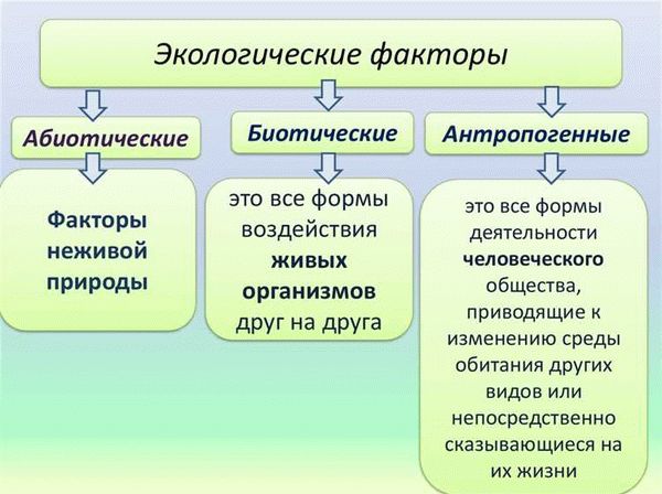 Студопедия - Биологический фактор