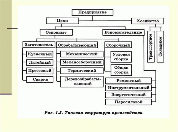 Виды услуг и их специфика