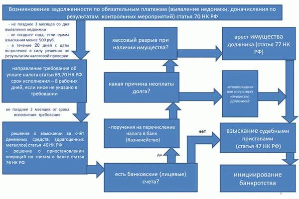 В помощь бизнесу. Как ООО и ИП могут получить штрафные санкции за неуплату налогов