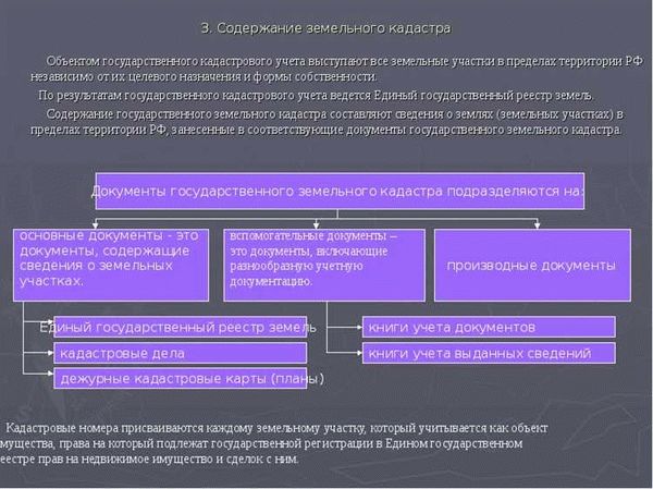 Какие данные хранит кадастровая палата